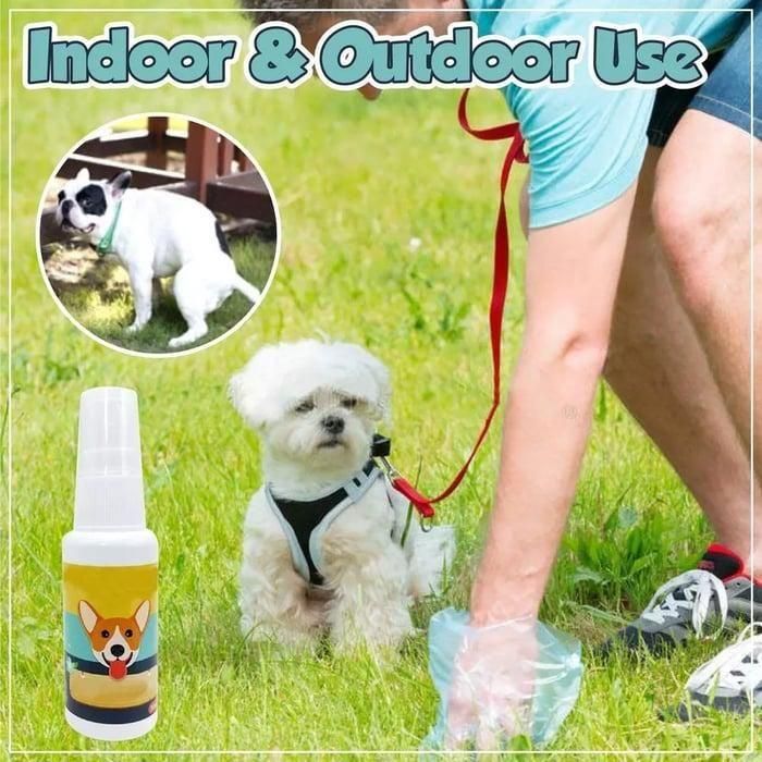 PET ACCESSORIES